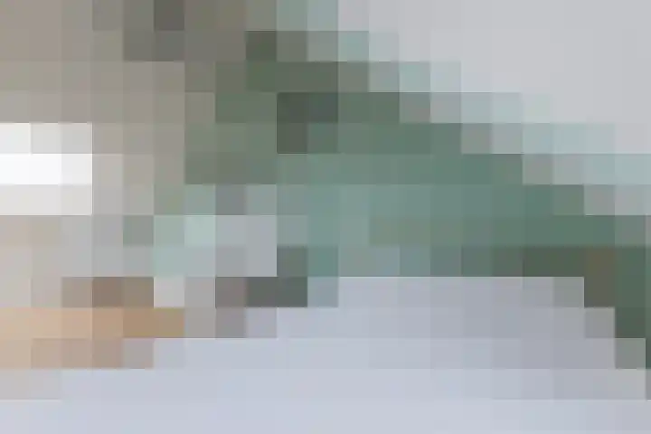 Grote Waard 46 Zwaag thumbnail 5