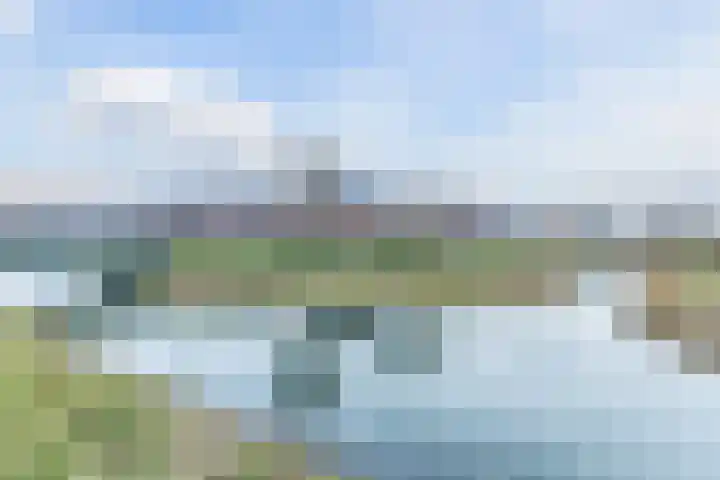 Grote Waard 46 Zwaag thumbnail 50