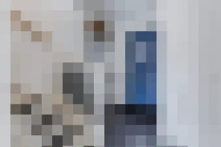 Grote Waard 46 Zwaag thumbnail 9