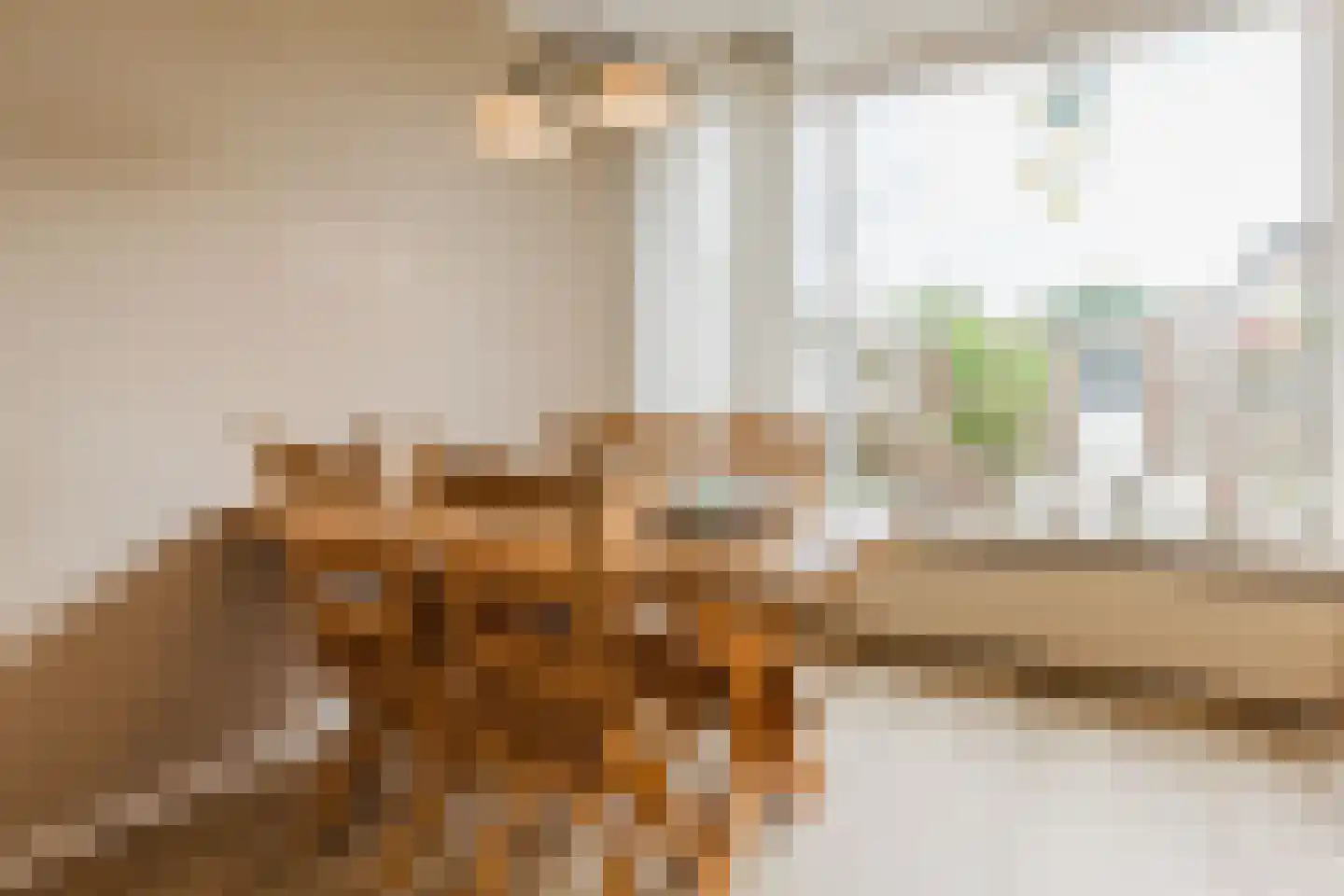 Grote Waard 6 Zevenbergen thumbnail 14
