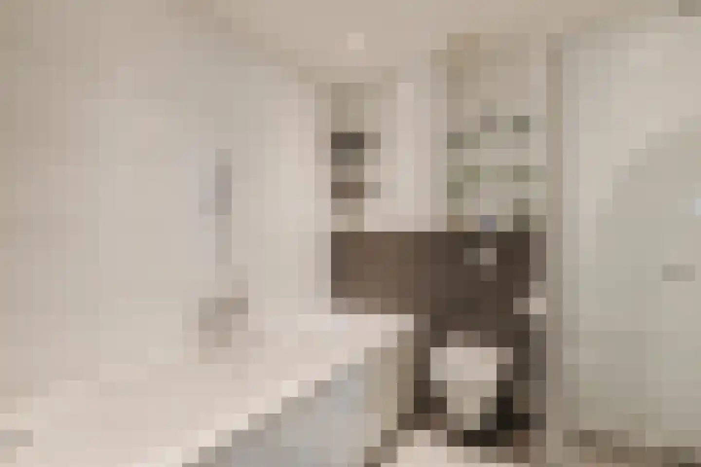 Grote Waard 6 Zevenbergen thumbnail 24