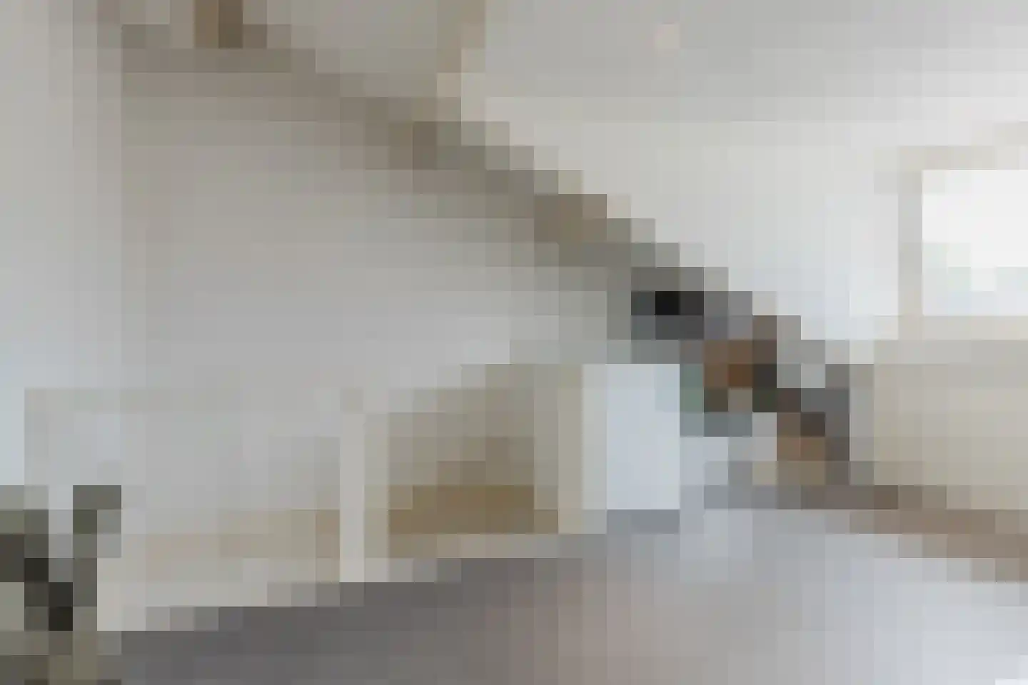 Grote Waard 6 Zevenbergen thumbnail 26