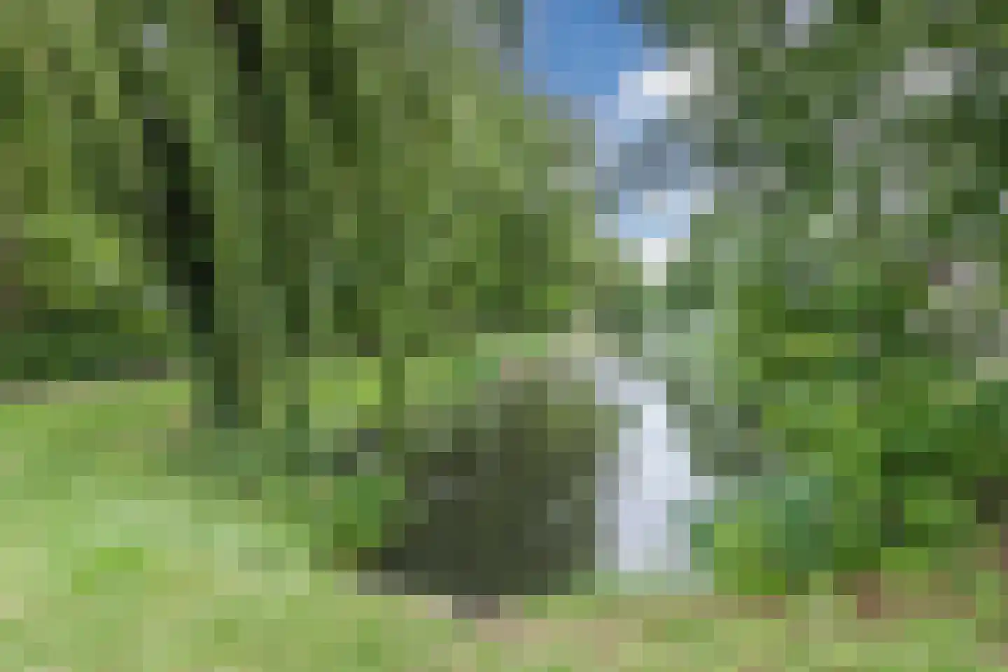 Grote Waard 6 Zevenbergen thumbnail 38