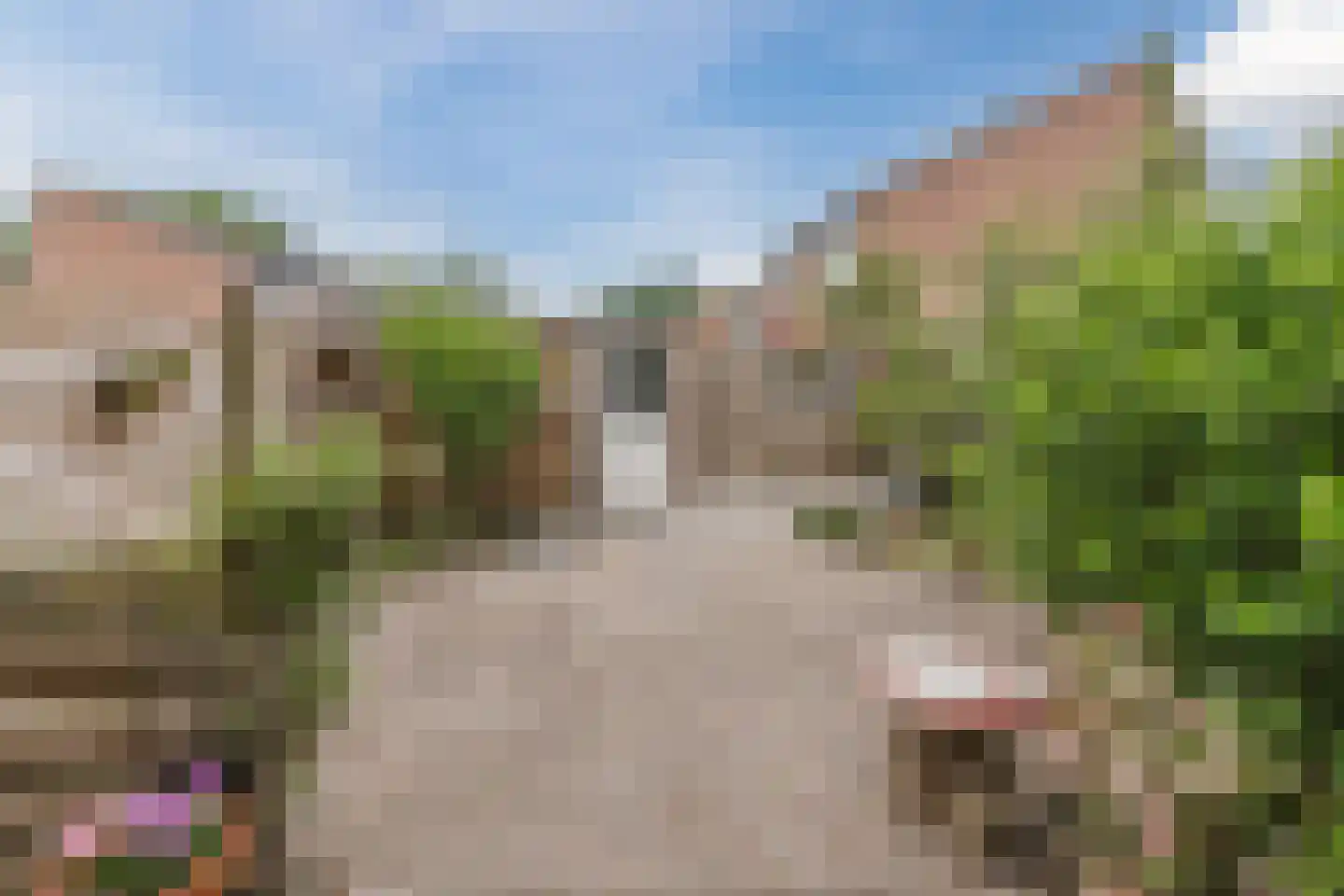 Grote Waard 6 Zevenbergen thumbnail 4