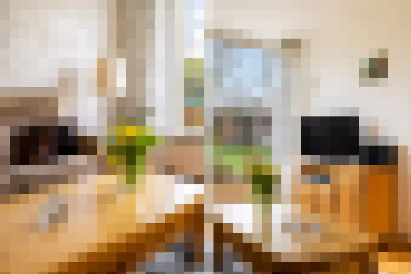Grote Waard 9 Zevenbergen thumbnail 14