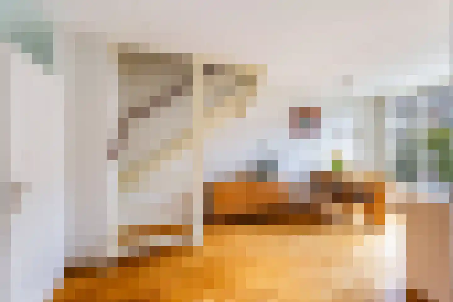 Grote Waard 9 Zevenbergen thumbnail 16
