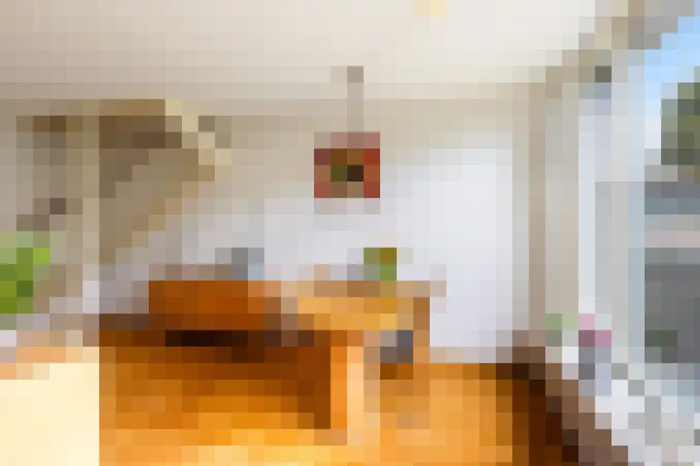 Grote Waard 9 Zevenbergen thumbnail 19