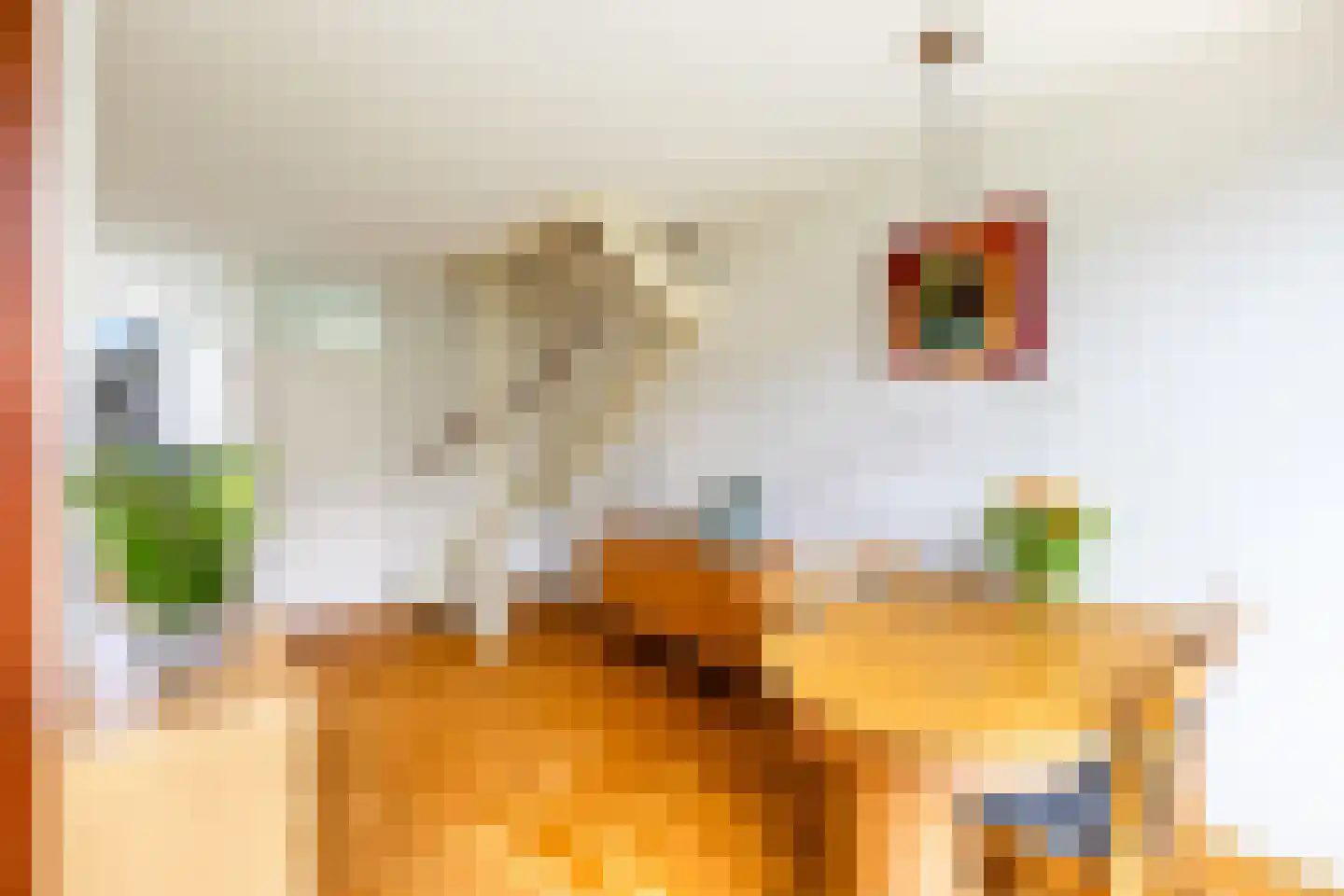 Grote Waard 9 Zevenbergen thumbnail 20