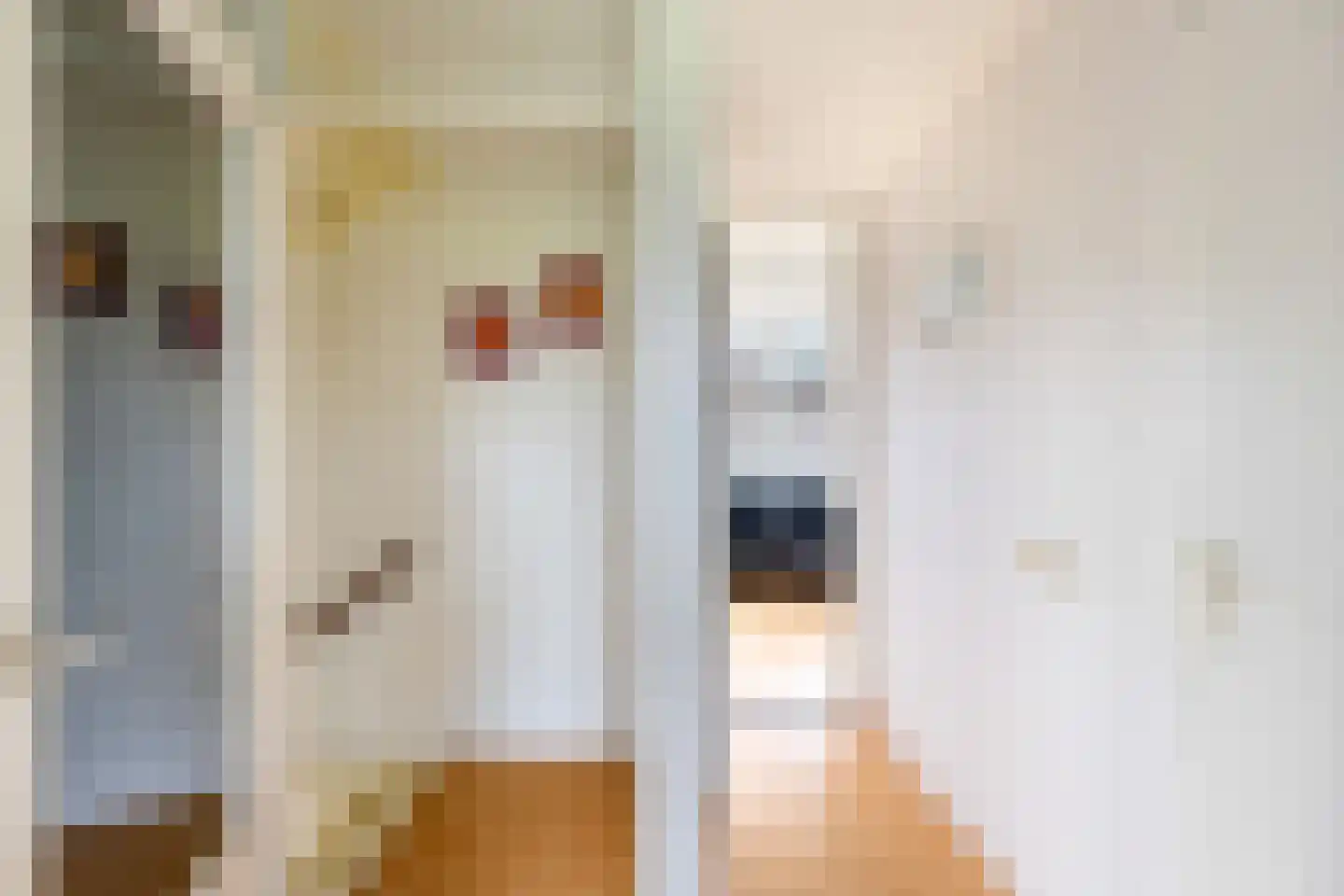 Grote Waard 9 Zevenbergen thumbnail 26