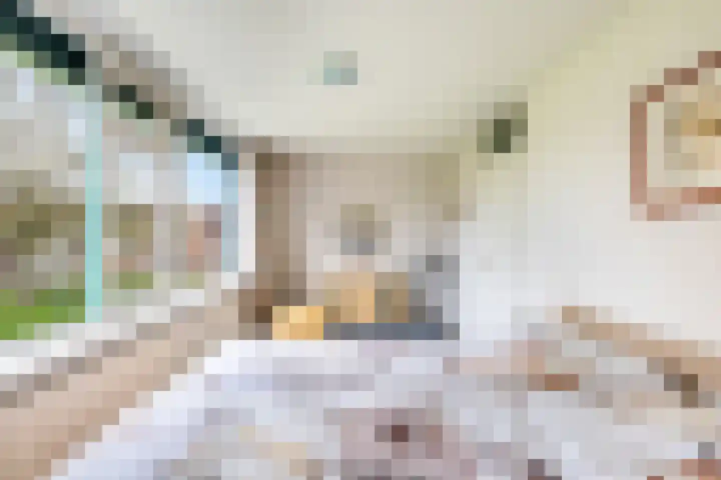 Grote Waard 9 Zevenbergen thumbnail 29