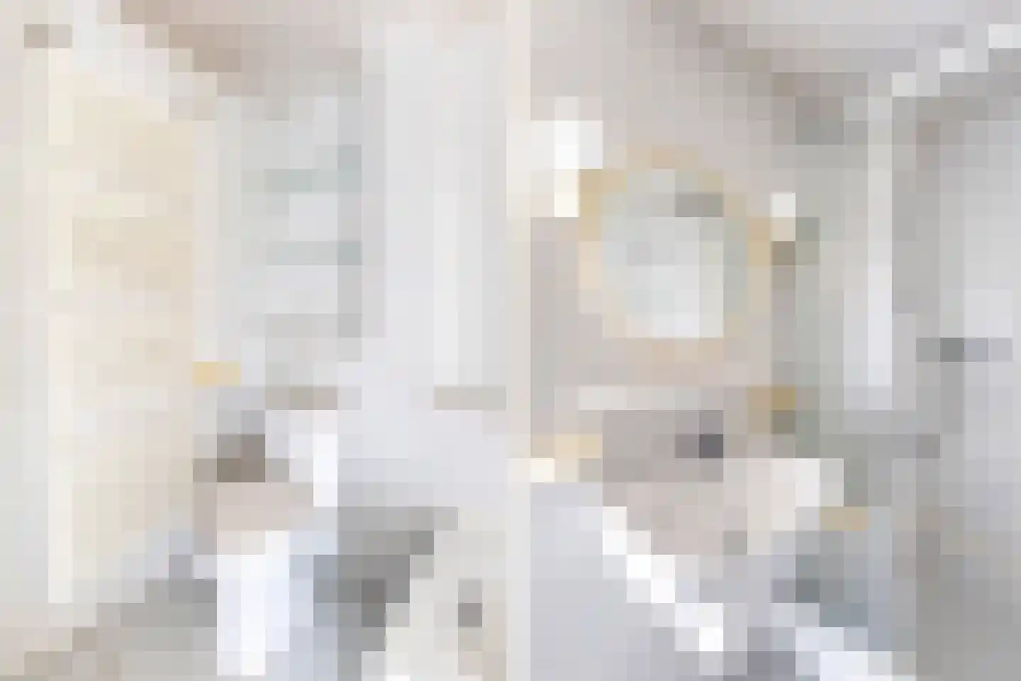 Grote Waard 9 Zevenbergen thumbnail 37
