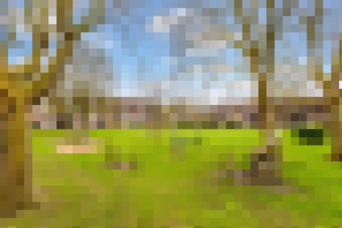 Grote Waard 9 Zevenbergen thumbnail 4