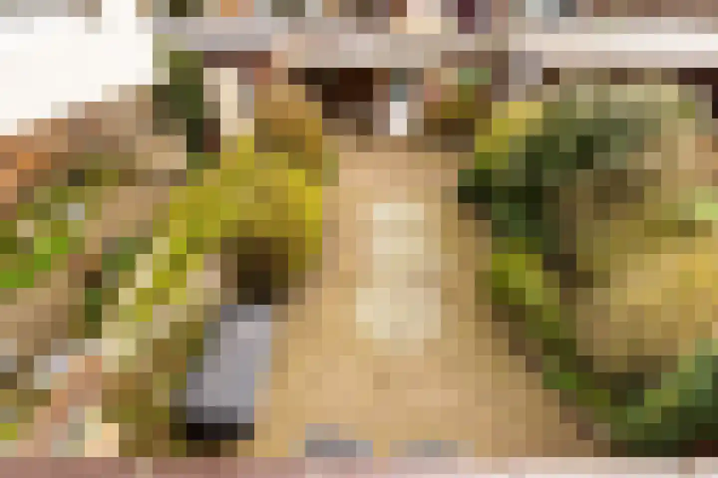 Grote Waard 9 Zevenbergen thumbnail 46