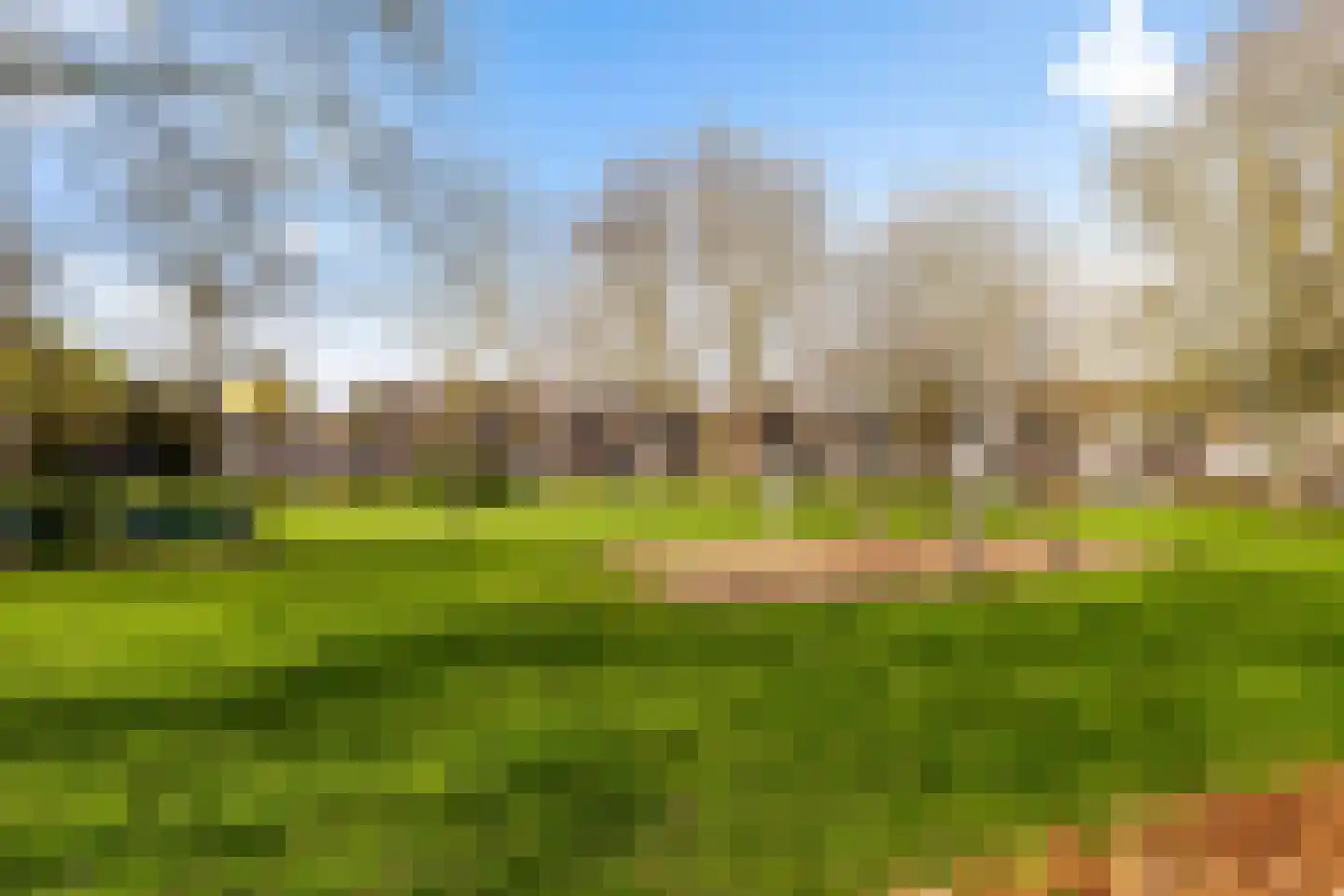 Grote Waard 9 Zevenbergen thumbnail 53