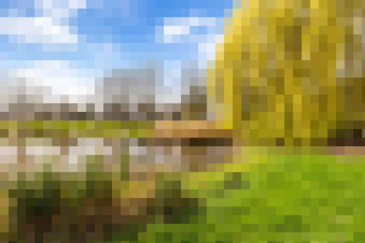 Grote Waard 9 Zevenbergen thumbnail 54