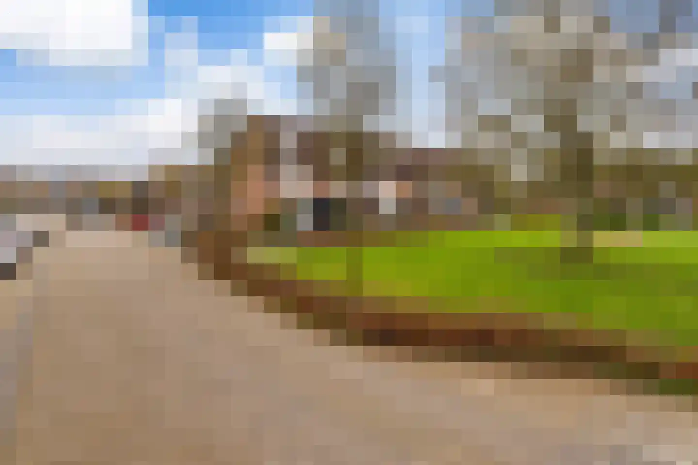 Grote Waard 9 Zevenbergen thumbnail 55