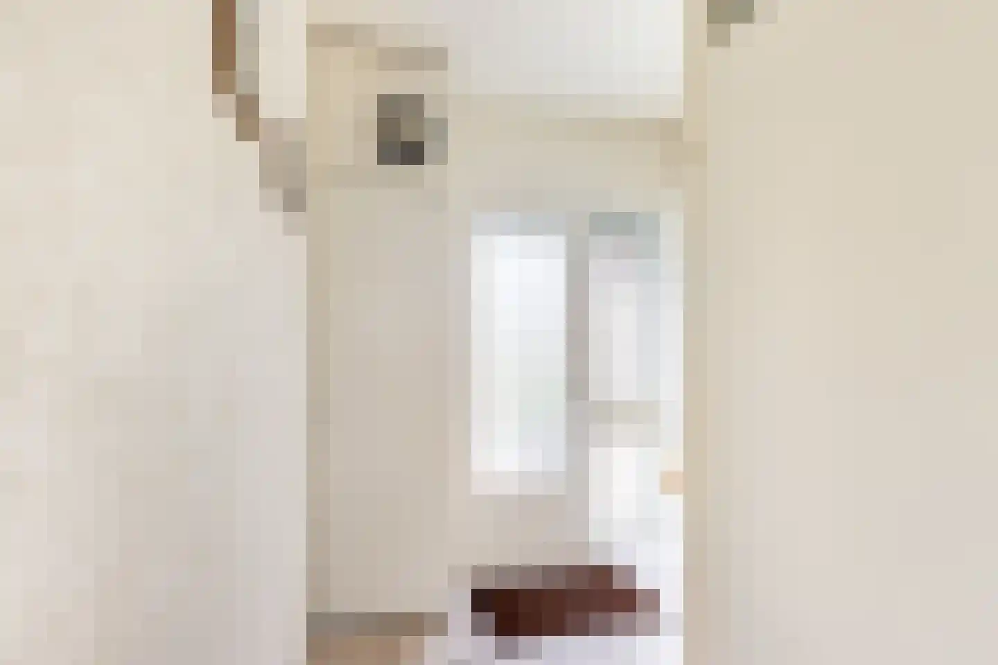 Grote Waard 9 Zevenbergen thumbnail 8