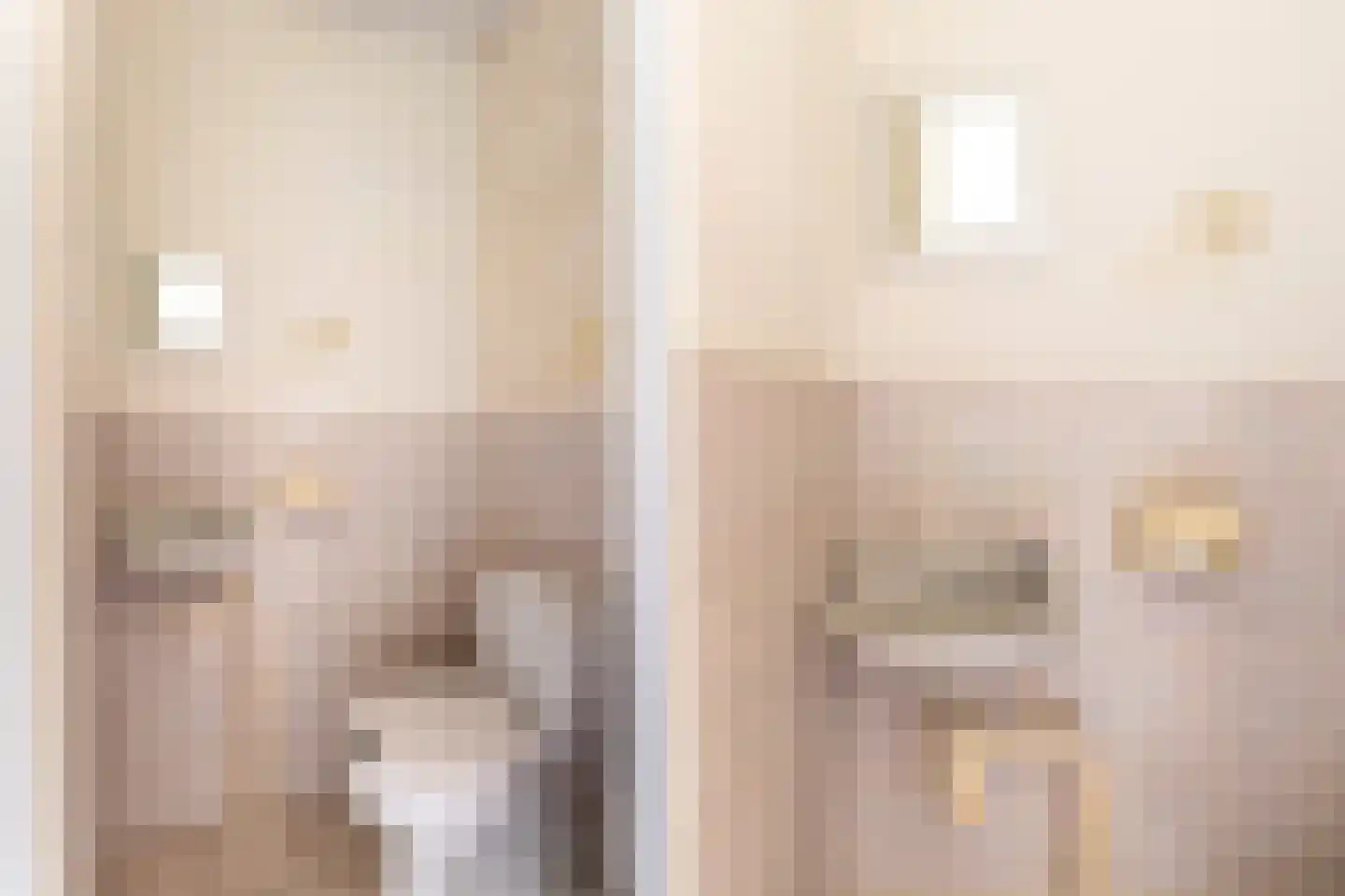 Grote Waard 9 Zevenbergen thumbnail 9