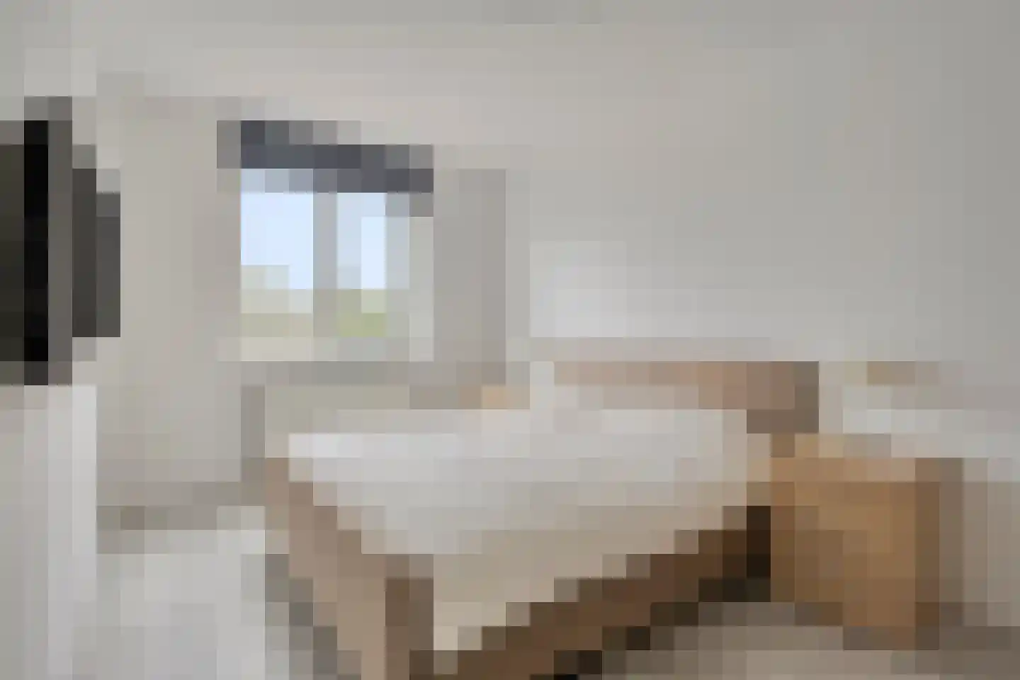 Grote Weide 77 Heemskerk thumbnail 11