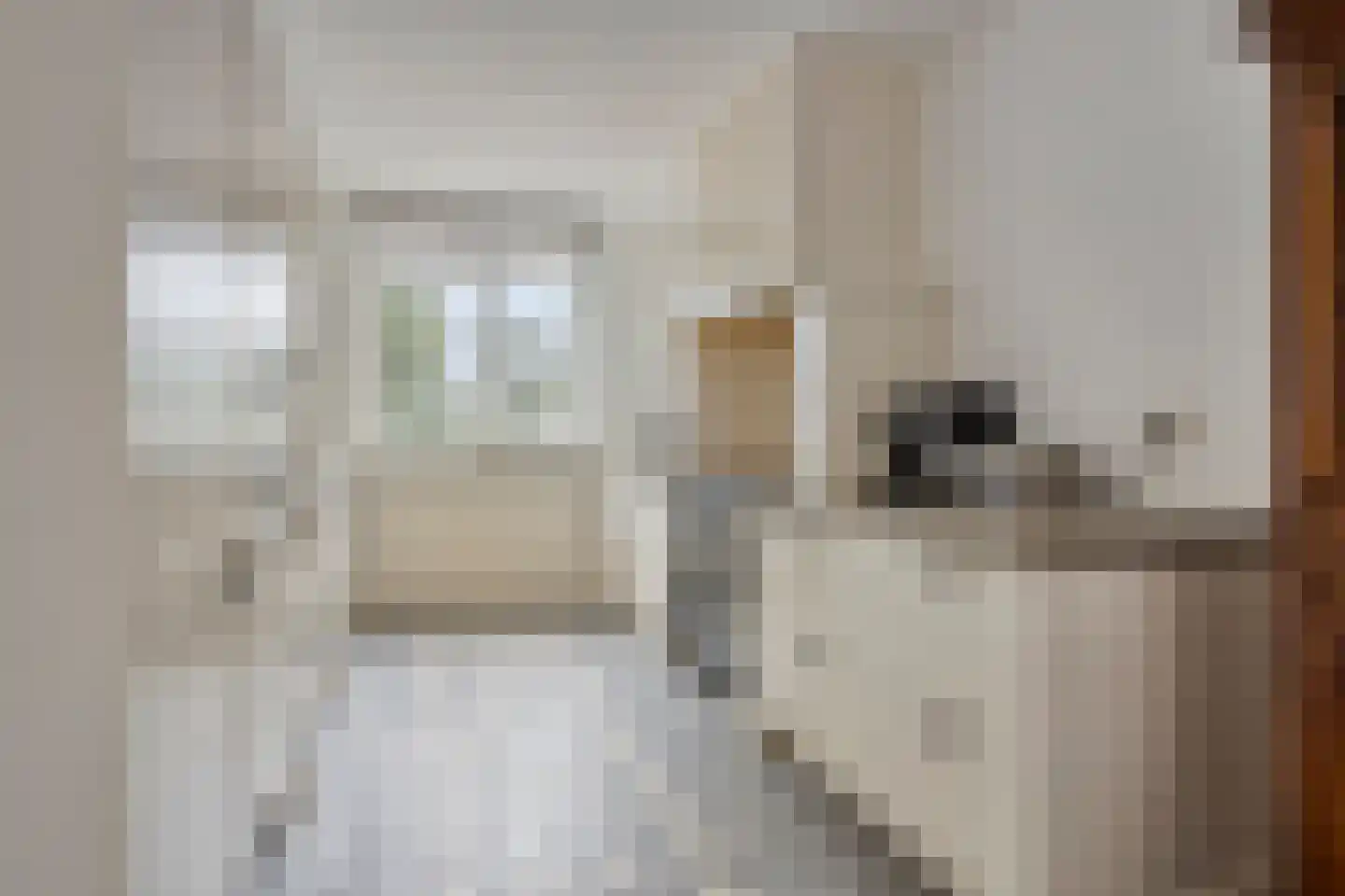 Grote Weide 77 Heemskerk thumbnail 7