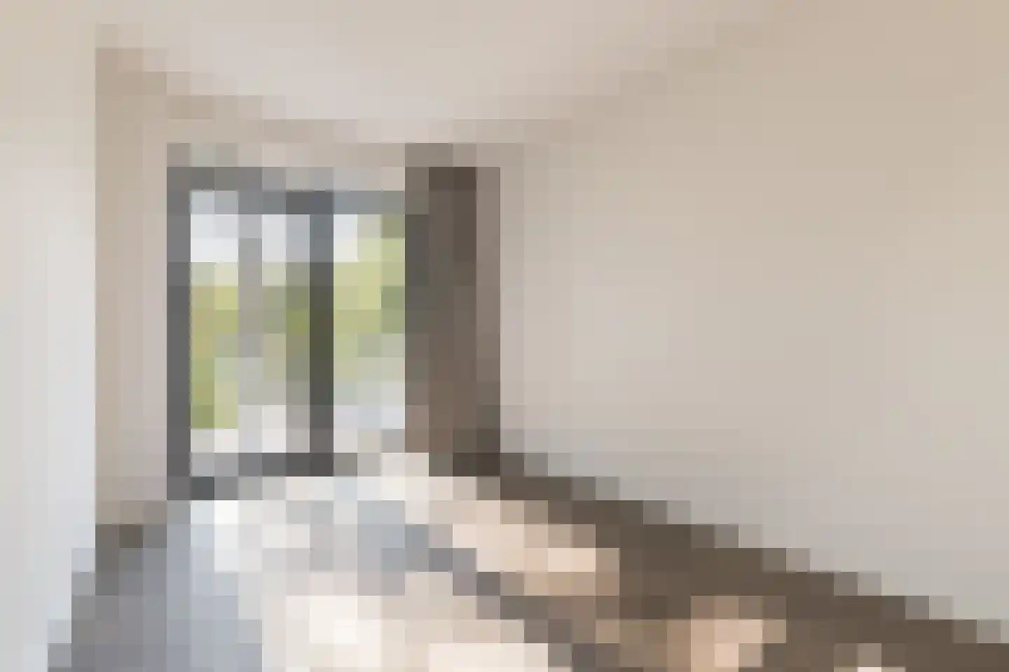 Grote Wiel 11 Muiden thumbnail 12