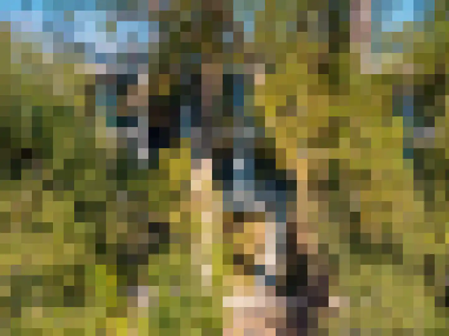 Grote Wiel 11 Muiden thumbnail 32