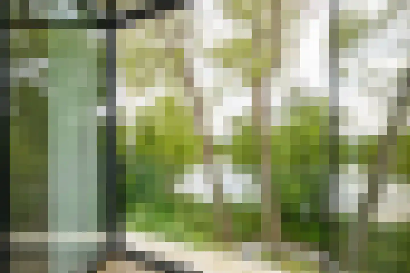 Grote Wiel 23 Muiden thumbnail 20