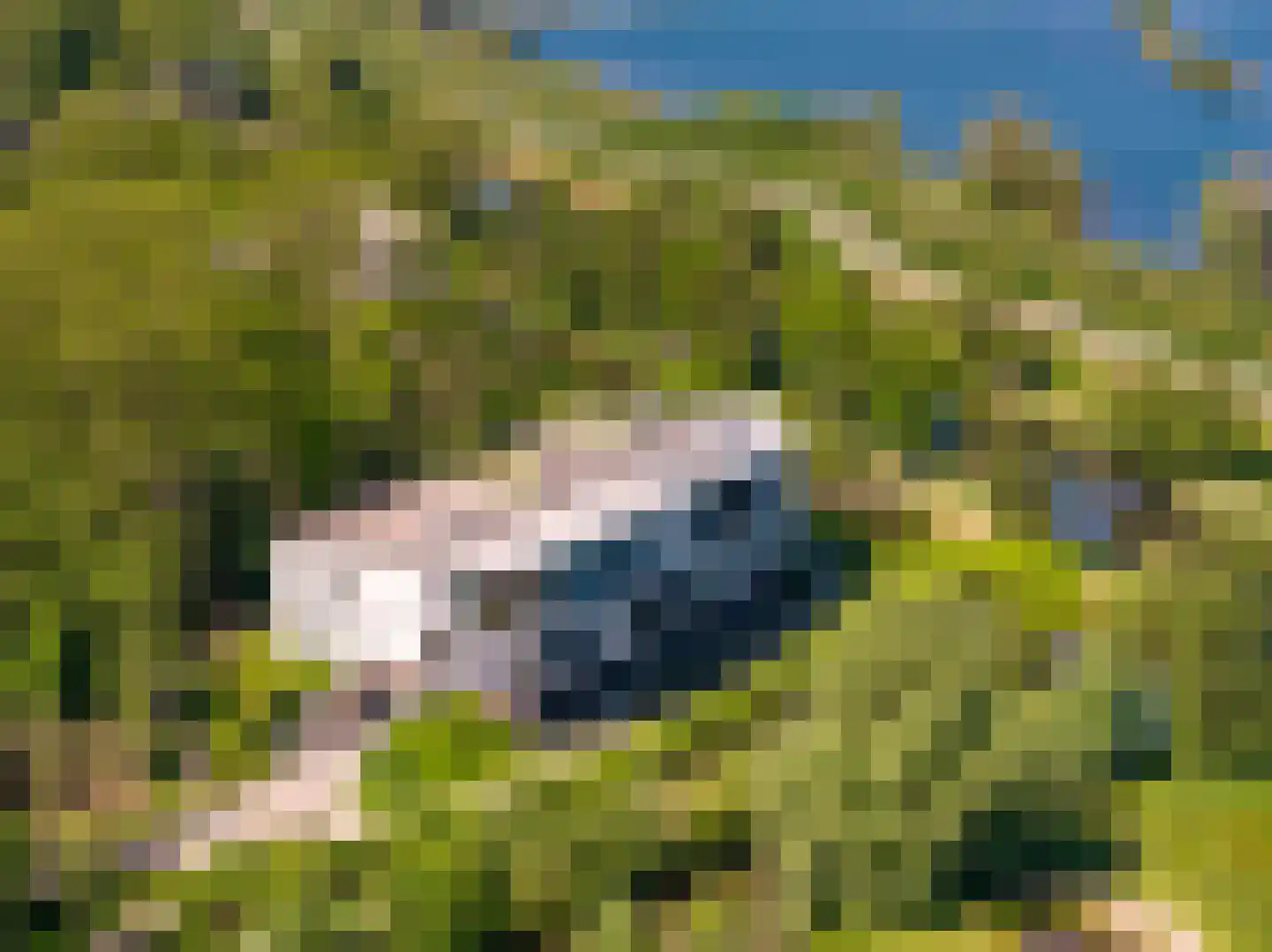 Grote Wiel 23 Muiden thumbnail 34