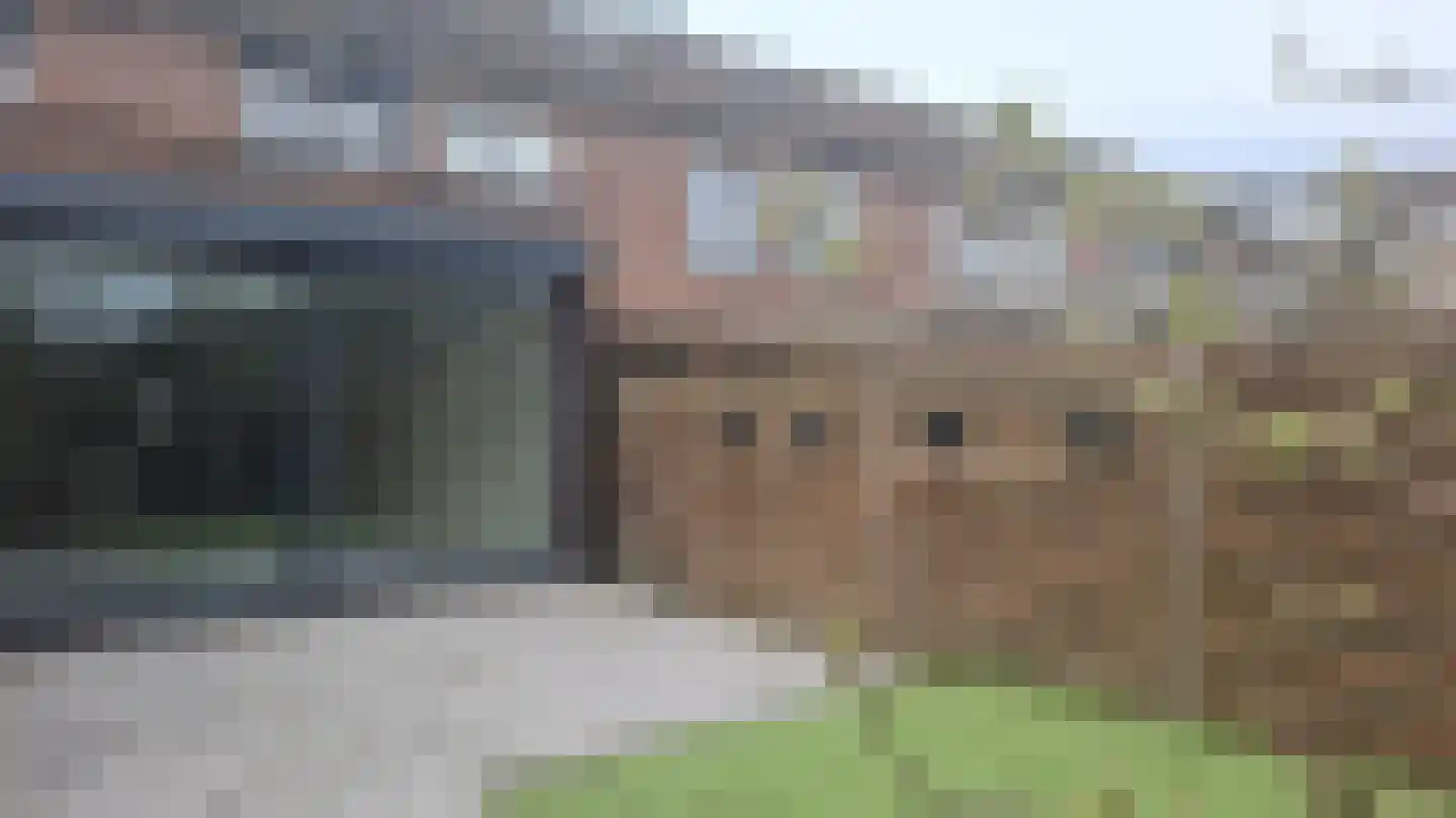 Grote Wielen 32 Rotterdam thumbnail 18