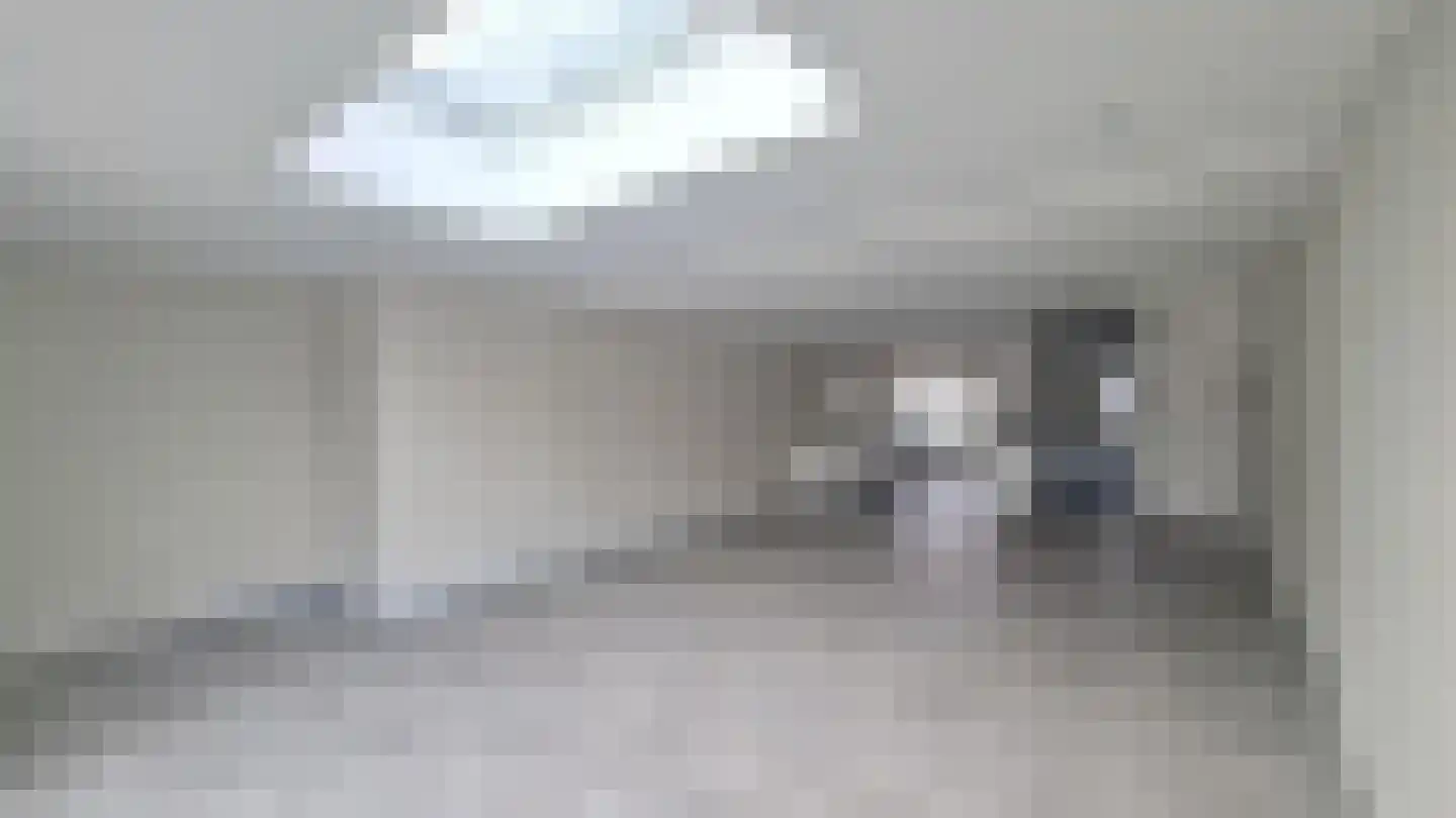 Grote Wielen 32 Rotterdam thumbnail 5