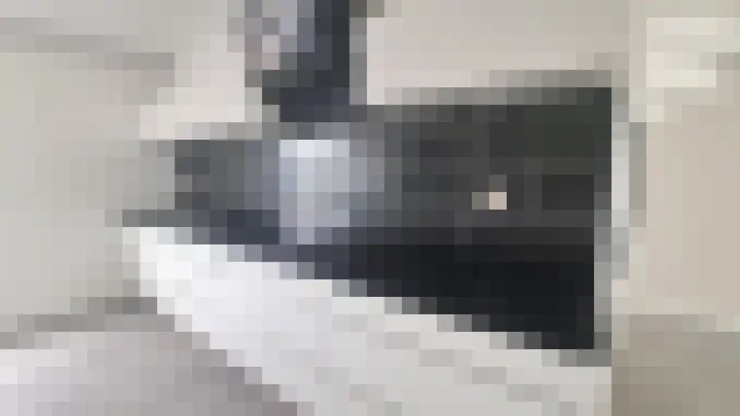 Grote Wielen 32 Rotterdam thumbnail 6