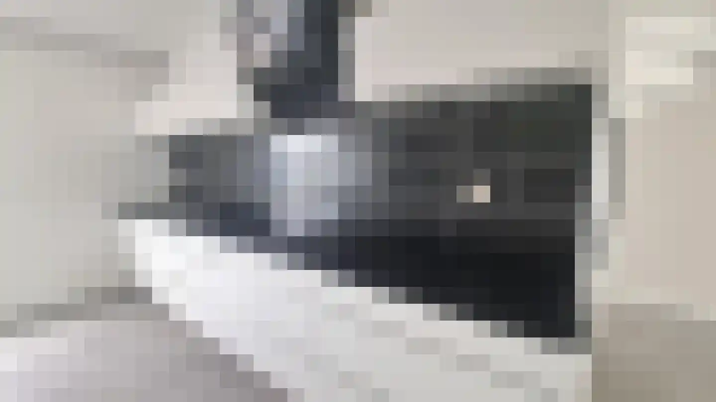 Grote Wielen 32 Rotterdam thumbnail 6