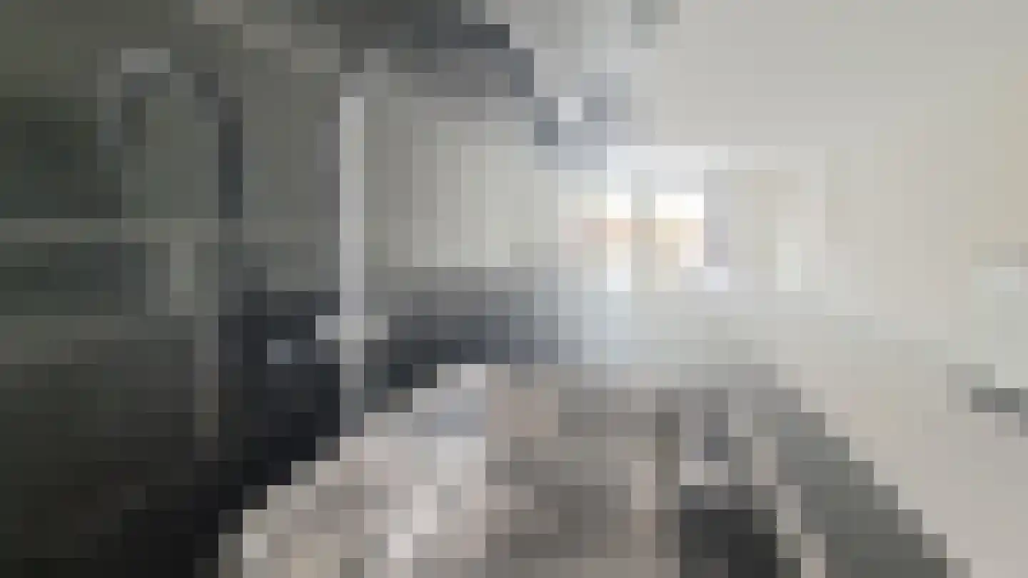Grote Wielen 32 Rotterdam thumbnail 9