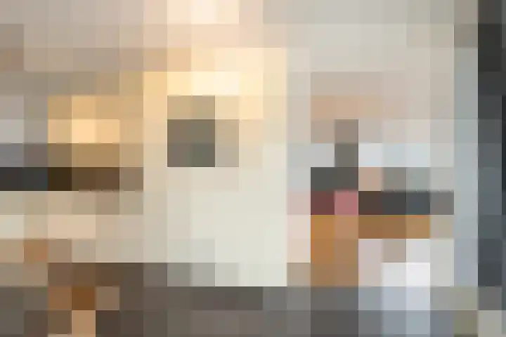 Grote Woerdlaan 10 C Naaldwijk thumbnail 14