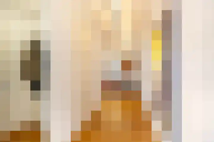 Grote Woerdlaan 10 C Naaldwijk thumbnail 16