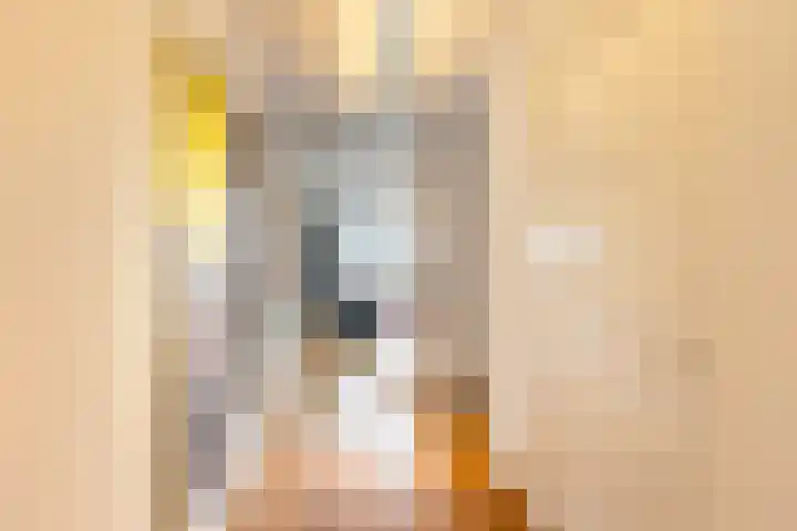 Grote Woerdlaan 10 C Naaldwijk thumbnail 18