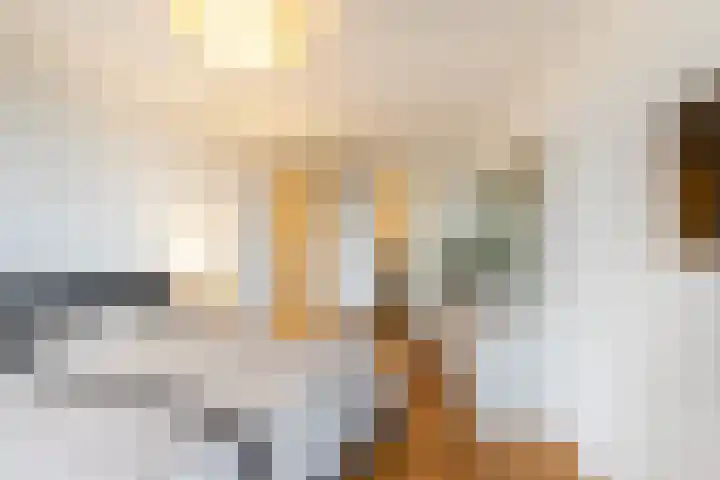 Grote Woerdlaan 10 C Naaldwijk thumbnail 22