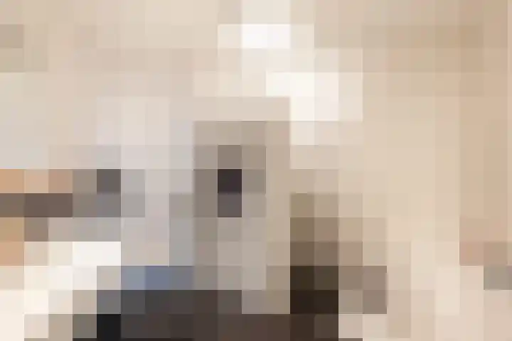 Grote Woerdlaan 10 C Naaldwijk thumbnail 23