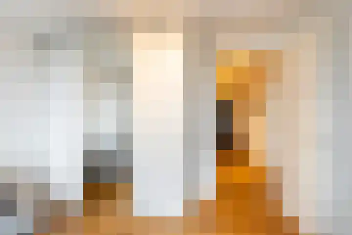 Grote Woerdlaan 10 C Naaldwijk thumbnail 28
