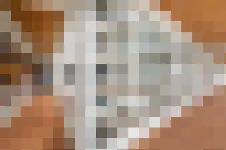 Grote Woerdlaan 10 C Naaldwijk thumbnail 38