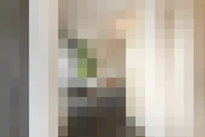 Grote Woerdlaan 10 C Naaldwijk thumbnail 9
