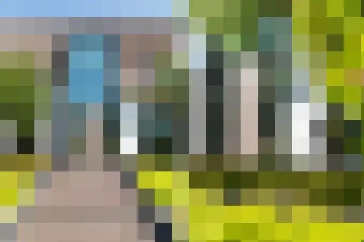 Grote Woerdlaan 44 Naaldwijk thumbnail 10
