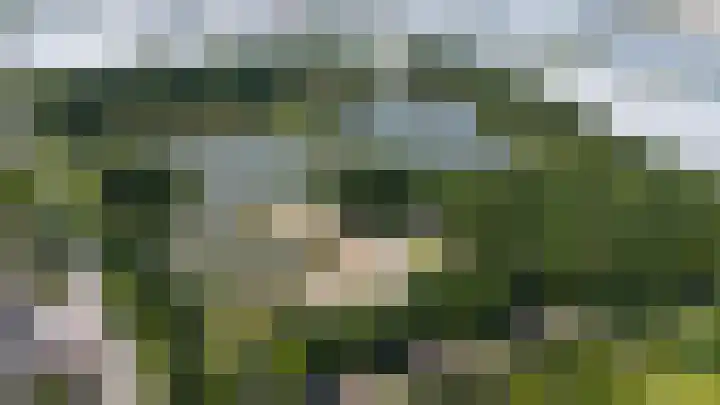 Grote Woerdlaan 44 Naaldwijk thumbnail 100