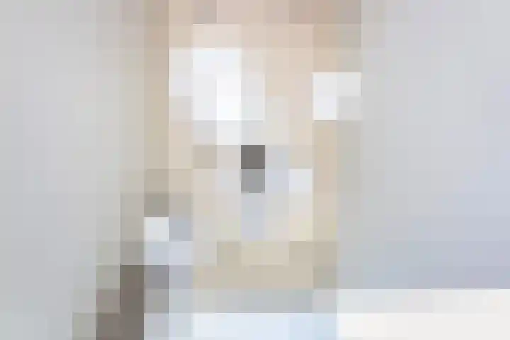Grote Woerdlaan 44 Naaldwijk thumbnail 16