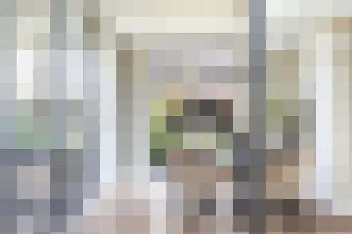 Grote Woerdlaan 44 Naaldwijk thumbnail 17