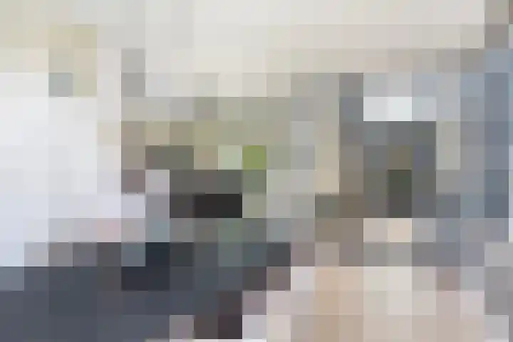Grote Woerdlaan 44 Naaldwijk thumbnail 18