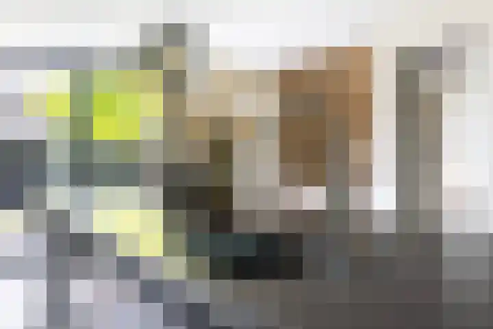 Grote Woerdlaan 44 Naaldwijk thumbnail 28