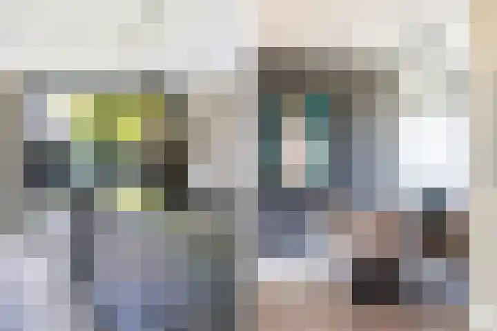 Grote Woerdlaan 44 Naaldwijk thumbnail 30