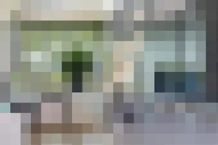 Grote Woerdlaan 44 Naaldwijk thumbnail 32