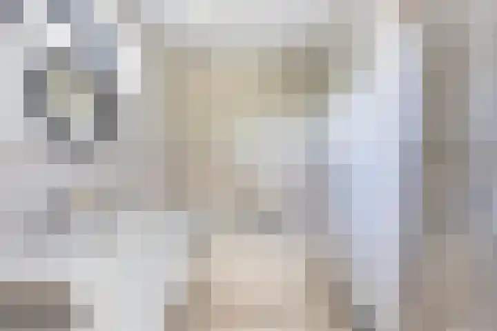 Grote Woerdlaan 44 Naaldwijk thumbnail 46